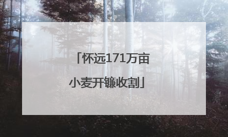 怀远171万亩小麦开镰收割