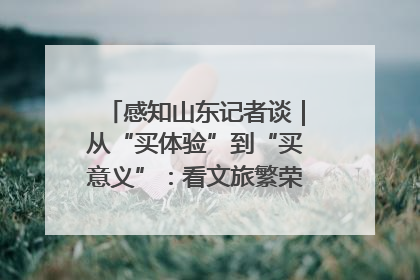 感知山东记者谈｜从“买体验”到“买意义”：看文旅繁荣背后的幸福新定义
