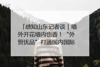 感知山东记者谈｜墙外开花墙内也香！“外贸优品”打通国内国际市场“旋转门”