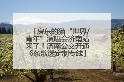 房东的猫“世界/青年”演唱会济南站来了！济南公交开通6条歌迷定制专线