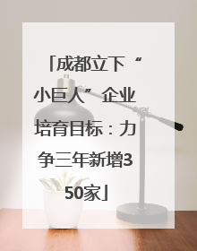 成都立下“小巨人”企业培育目标：力争三年新增350家