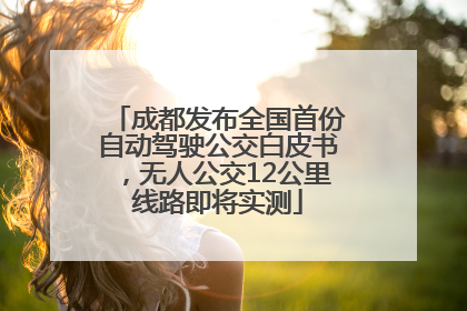 成都发布全国首份自动驾驶公交白皮书，无人公交12公里线路即将实测