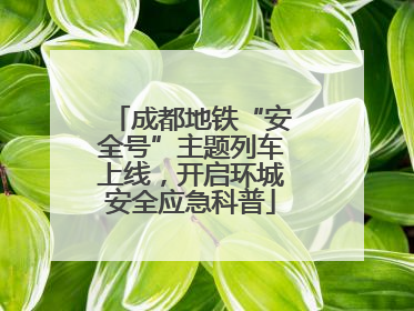 成都地铁“安全号”主题列车上线，开启环城安全应急科普