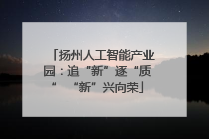 扬州人工智能产业园：追“新”逐“质” “新”兴向荣