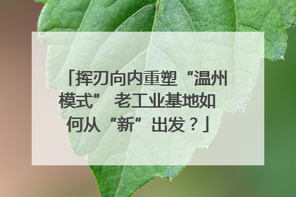 挥刃向内重塑“温州模式” 老工业基地如何从“新”出发？