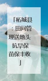 柘城县：田间管理送地头 抗旱保苗保丰收