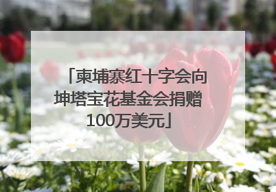 柬埔寨红十字会向坤塔宝花基金会捐赠100万美元