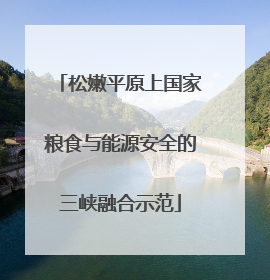 松嫩平原上国家粮食与能源安全的三峡融合示范