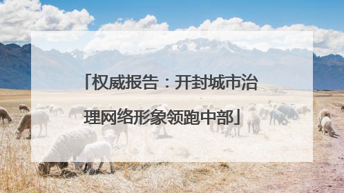 权威报告：开封城市治理网络形象领跑中部