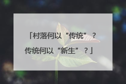 村落何以“传统”？传统何以“新生”？