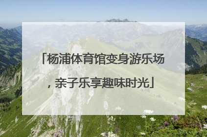 杨浦体育馆变身游乐场，亲子乐享趣味时光