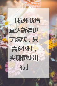杭州新增直达新疆伊宁航线，只需6小时，实现便捷出行