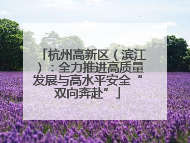杭州高新区（滨江）：全力推进高质量发展与高水平安全“双向奔赴”