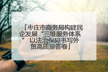 枣庄市商务局构建民企发展“三维服务体系” 以法治保障书写外贸高质量答卷