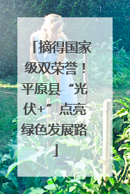 摘得国家级双荣誉！平原县“光伏+”点亮绿色发展路