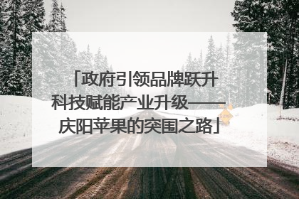 政府引领品牌跃升 科技赋能产业升级——庆阳苹果的突围之路