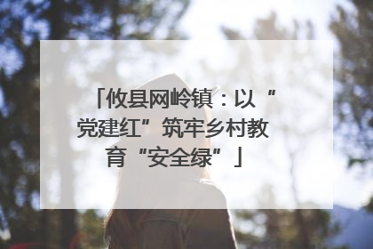 攸县网岭镇：以“党建红”筑牢乡村教育“安全绿”