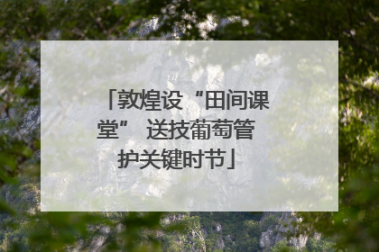 敦煌设“田间课堂” 送技葡萄管护关键时节