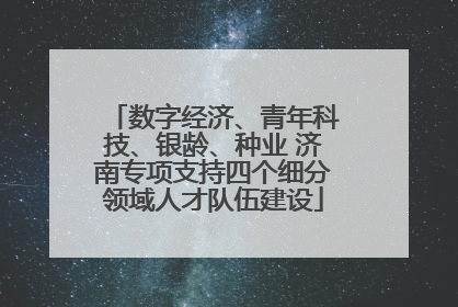 数字经济、青年科技、银龄、种业 济南专项支持四个细分领域人才队伍建设