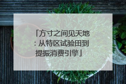 方寸之间见天地：从特区试验田到提振消费引擎
