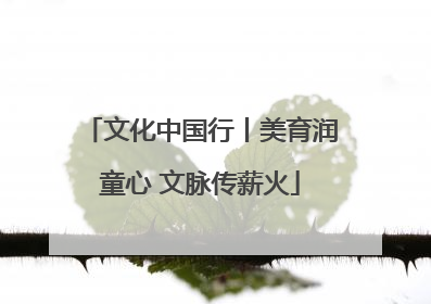 文化中国行丨美育润童心 文脉传薪火