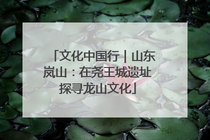 文化中国行｜山东岚山：在尧王城遗址探寻龙山文化