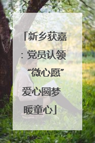 新乡获嘉：党员认领“微心愿” 爱心圆梦暖童心