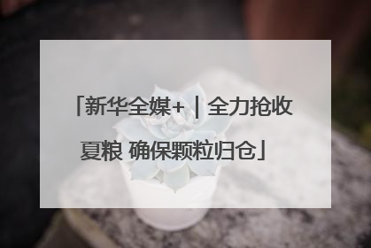 新华全媒+｜全力抢收夏粮 确保颗粒归仓