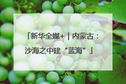新华全媒+｜内蒙古：沙海之中建“蓝海”
