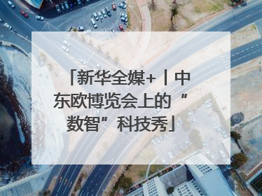 新华全媒+丨中东欧博览会上的“数智”科技秀