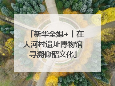 新华全媒+丨在大河村遗址博物馆寻溯仰韶文化