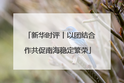 新华时评丨以团结合作共促南海稳定繁荣