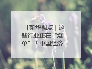 新华视点｜这些行业正在“爆单”！中国经济活力密码