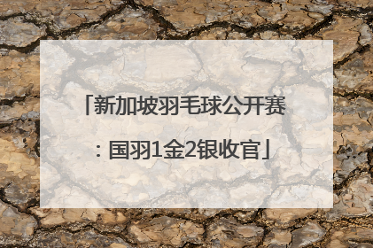 新加坡羽毛球公开赛：国羽1金2银收官