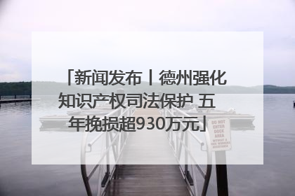 新闻发布丨德州强化知识产权司法保护 五年挽损超930万元