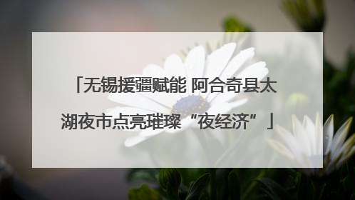 无锡援疆赋能 阿合奇县太湖夜市点亮璀璨“夜经济”