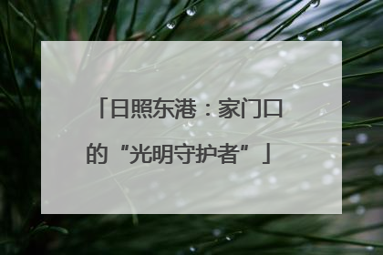 日照东港：家门口的“光明守护者”
