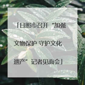 日照市召开“加强文物保护 守护文化遗产”记者见面会