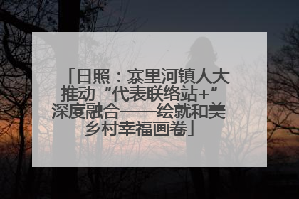 日照：寨里河镇人大推动“代表联络站+”深度融合——绘就和美乡村幸福画卷