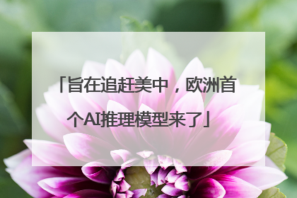 旨在追赶美中，欧洲首个AI推理模型来了