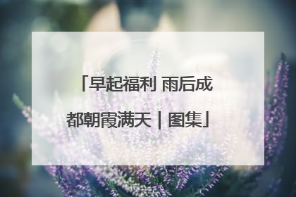 早起福利 雨后成都朝霞满天｜图集