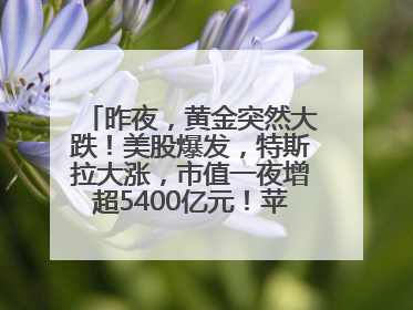 昨夜，黄金突然大跌！美股爆发，特斯拉大涨，市值一夜增超5400亿元！苹果传来大消息