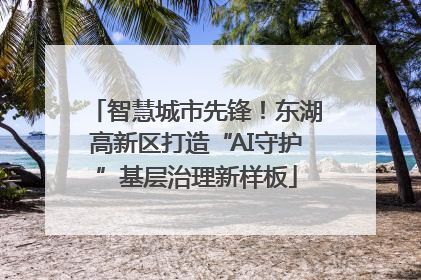 智慧城市先锋！东湖高新区打造“AI守护”基层治理新样板
