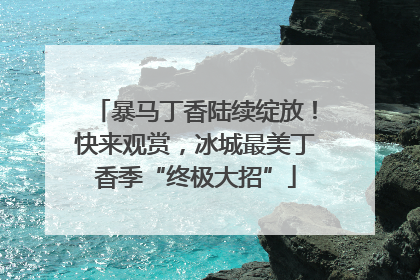 暴马丁香陆续绽放！快来观赏，冰城最美丁香季“终极大招”