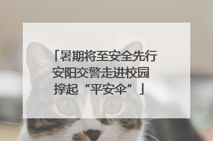暑期将至安全先行 安阳交警走进校园撑起“平安伞”