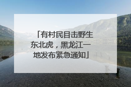 有村民目击野生东北虎，黑龙江一地发布紧急通知