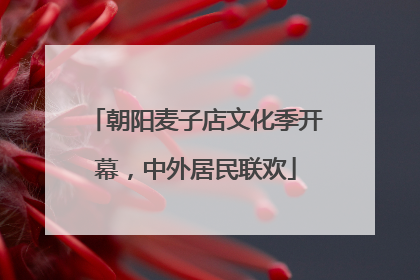 朝阳麦子店文化季开幕，中外居民联欢
