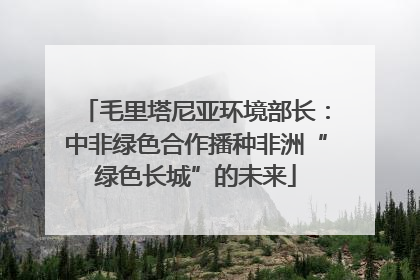 毛里塔尼亚环境部长：中非绿色合作播种非洲“绿色长城”的未来