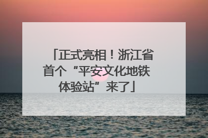 正式亮相！浙江省首个“平安文化地铁体验站”来了