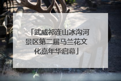 武威祁连山冰沟河景区第二届马兰花文化嘉年华启幕
